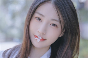 The paths by which digital transformation promotes the development of Shanghai's local economy